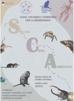 sca 2027 locandina